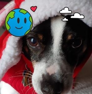 Meet your Posher, Deanna